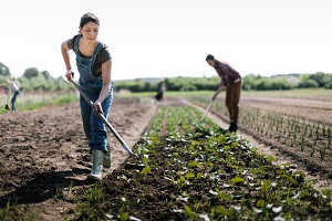 A portrait of the portuguese agriculture - 2023