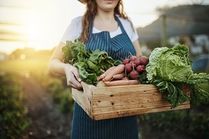 Agricultural income should increase 14.7 - 2024