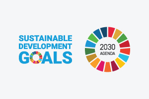 Sustainable Development Goals (SDGS) in Portugal 2015-2025 - 2025