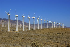 The state of the Environment
