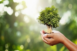 Impacto do COVID-19 no estado do ambiente