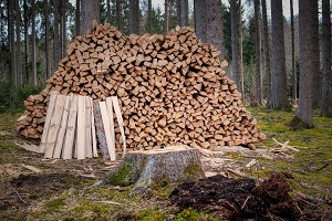 In 2020, the GVA of forestry decreased by 6.5% in volume and 8.5% in value