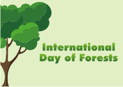 International Day of Forests - 2019